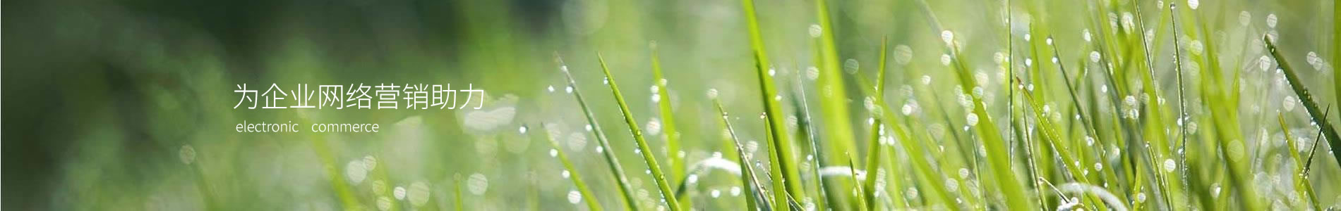 ²ʽ޹˾